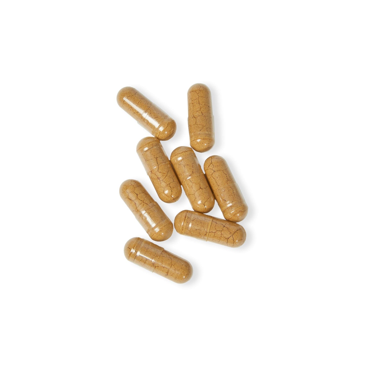 MANA POTION - Mushroom Blend Supplement (60 Capsules)